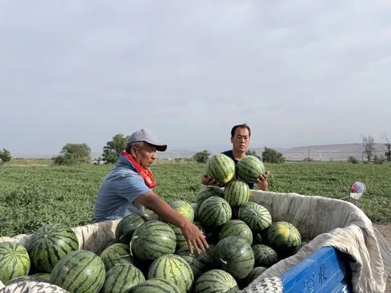 每天不停的吃瓜,我的吃瓜日常