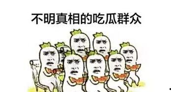 收租不如吃瓜后续,揭秘社区物业管理的另类现象