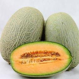 吃胃药可以吃哈密瓜吗,食用禁忌与注意事项