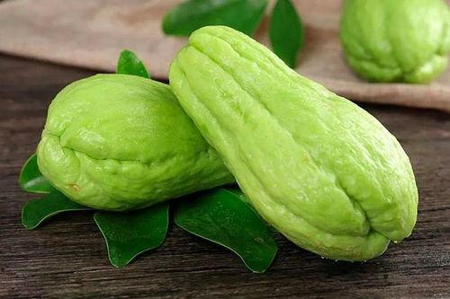 专门吃红籽的瓜,专食红籽的瓜类新宠