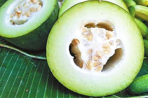 专门吃红籽的瓜,专食红籽的瓜类新宠