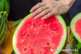 兰州学院吃瓜,吃瓜群众眼中的校园生活剪影