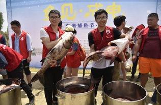 兰州学院吃瓜,吃瓜群众眼中的校园生活剪影