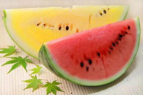 汾阳医院汾阳的瓜吃瓜,瓜农丰收喜笑颜开