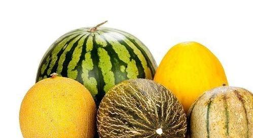 吃瓜钱多多,揭秘娱乐圈“吃瓜”背后的真相与争议