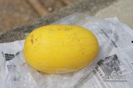 黄皮面瓜怎么吃,解锁美味新体验