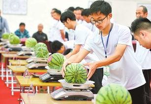 夏邑县新闻吃瓜