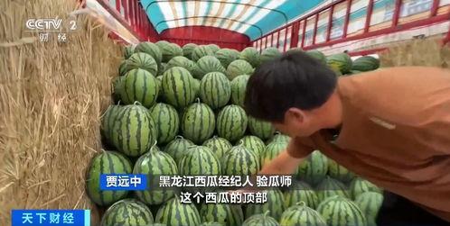 雷小米路边吃瓜,揭秘娱乐圈幕后风云