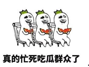 上班吃饼吃瓜的说说搞笑,饼瓜相伴，欢乐无限