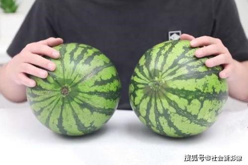 沙师弟吃瓜,揭秘娱乐圈背后的秘密