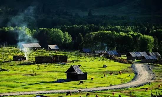 禾木村吃瓜,瓜果飘香，品味田园生活