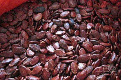 红瓜子的瓜怎么吃,解锁传统零食新吃法