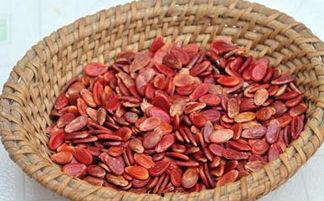 红瓜子的瓜怎么吃,解锁传统零食新吃法