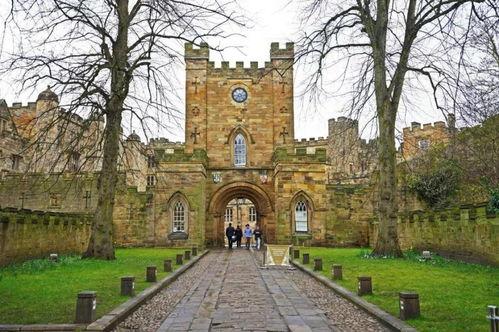 杜伦大学吃瓜,揭秘校园里的“吃瓜”文化现象