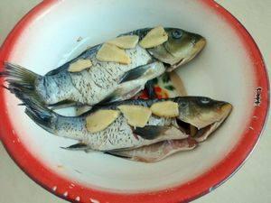 怎么吃八瓜鱼,解锁美味烹饪新技巧