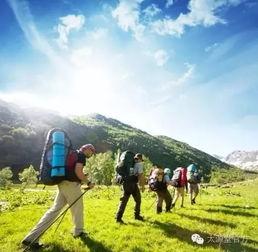 爬山渡海吃瓜真君,探寻神秘仙侠世界的奇幻之旅