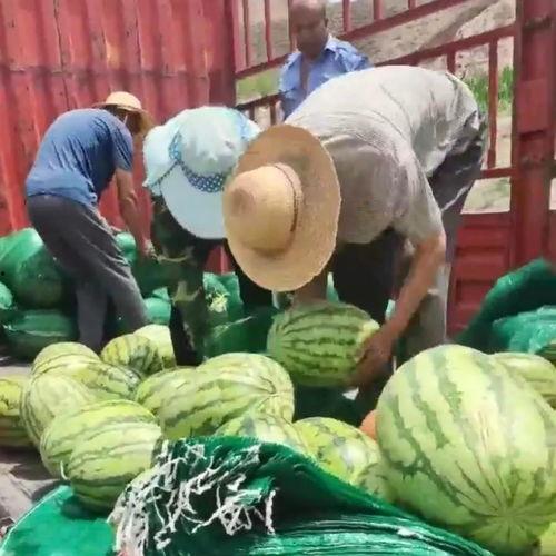 盐城的吃瓜群众,街头巷尾的美食风云录