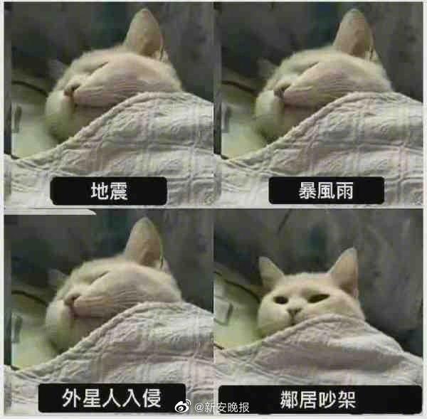 吃瓜少欲,品味生活，远离纷扰