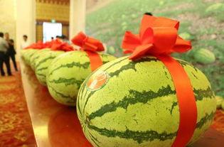 子宁吃瓜,揭秘娱乐圈幕后故事