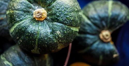 瓜是好瓜怎么吃,探索好瓜的最佳食用之道