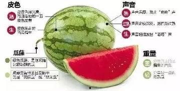 家人们微信吃瓜,揭秘娱乐圈最新热点事件