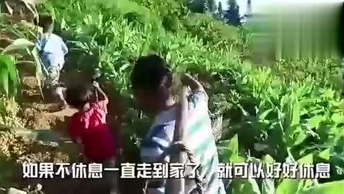 大丰吃瓜事件视频,一场引发热议的网络狂欢