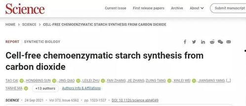 带你吃瓜购票,揭秘带你吃瓜购票的便捷与魅力