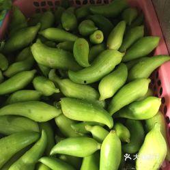 不让吃角瓜,健康生活新主张