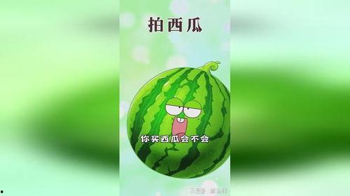 职业吃瓜人,揭秘娱乐圈幕后故事