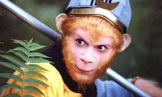 孙悟空吃瓜原视频,趣味横生的奇幻美食之旅