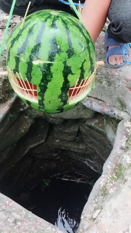 吃瓜捕鱼神器,轻松捕鱼，尽享乐趣