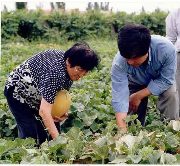 唐院吃瓜,揭秘校园吃瓜背后的故事