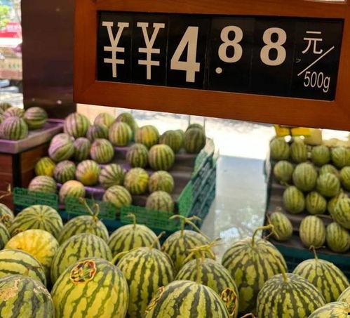 绍兴联合市场吃瓜,热闹非凡的吃瓜现场，一探究竟