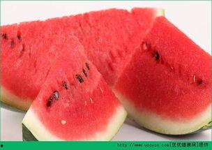 黑色海瓜怎么吃,美味与营养的完美结合