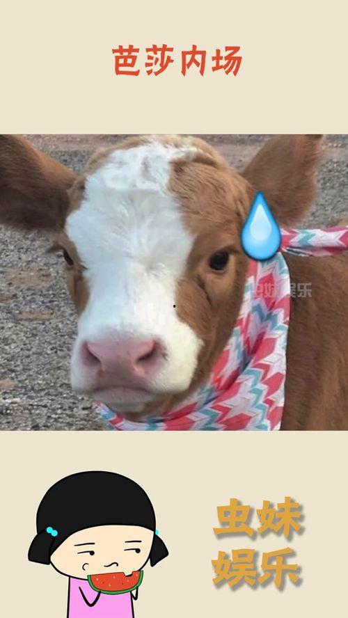 抖音极速吃瓜,揭秘热门事件背后的真相