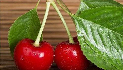 聪明女人吃福寿瓜,福寿瓜中寻健康之道