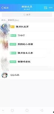 吃瓜群聊名称大全,趣味横生的社交圈命名艺术