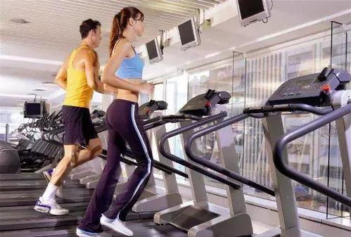 健身达人吃瓜视频下载,揭秘健身圈幕后故事