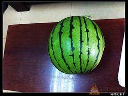 吃瓜的来,吃瓜群众眼中的明星生活