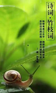 夏至 吃瓜 文案句子,探寻传统美食的夏日风情