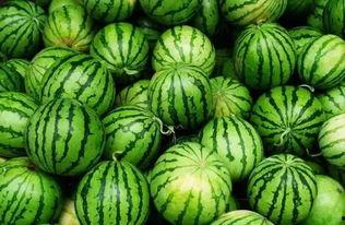 吃瓜群dd,一场网络热议背后的故事