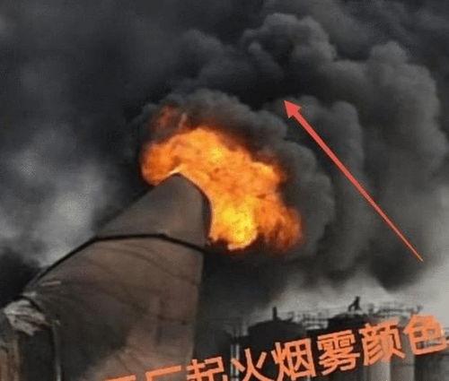 化工厂吃瓜事件