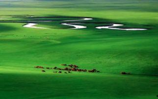 呼伦贝尔吃瓜群众,吃瓜群众的夏日狂欢盛宴