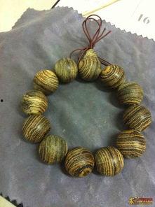 吃瓜小熊金丝楠木,探寻金丝楠木的奥秘