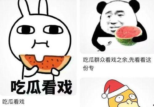 吃瓜看戏语录搞笑,吃瓜看戏语录大盘点，让你笑到肚子疼！