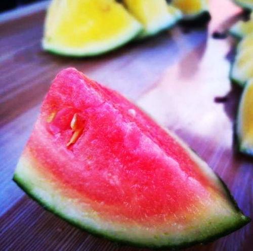 山东幼师吃瓜,揭秘幼儿园里的“瓜田”风波