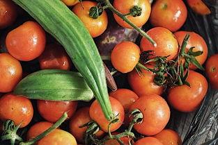 老头瓜棚吃瓜,老头瓜棚里的悠闲时光