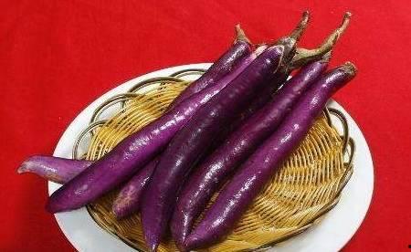 茄子吃瓜视频在线,揭秘网络热门视频背后的趣味与思考