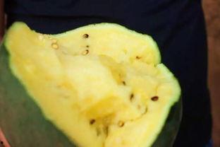 赤峰吃瓜,探寻吃瓜者的天堂