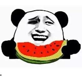 吃瓜的胖子,揭秘娱乐圈幕后故事